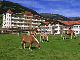 Traumhotel Alpina Traumhotel Alpina