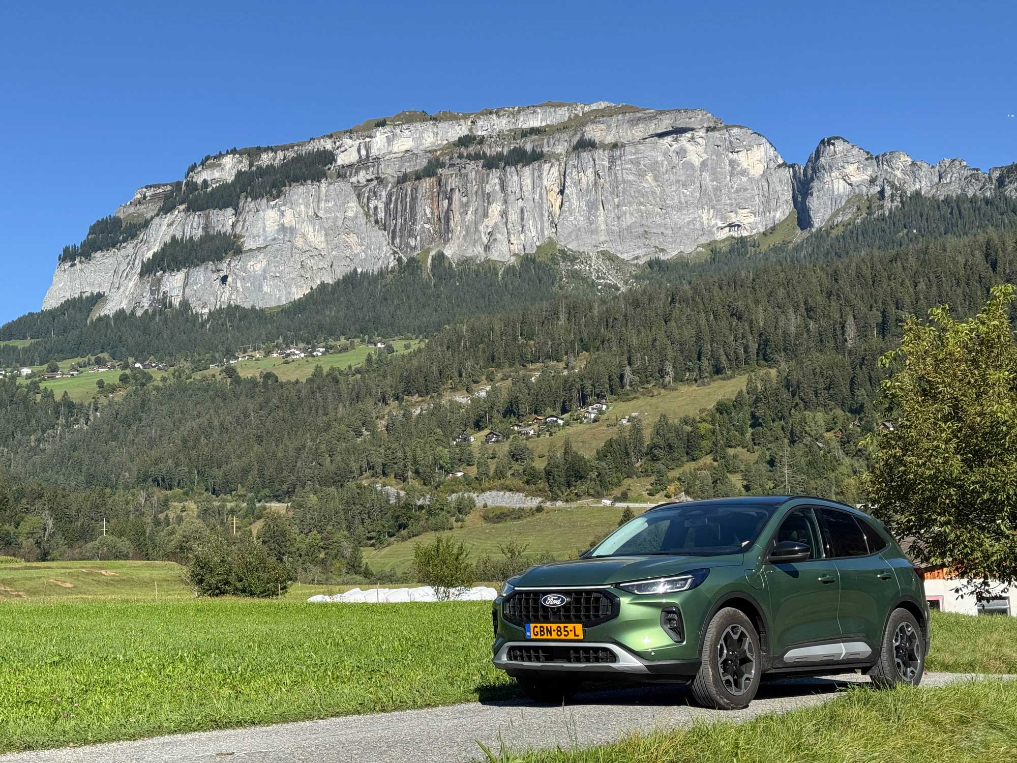 Ford Kuga Groen