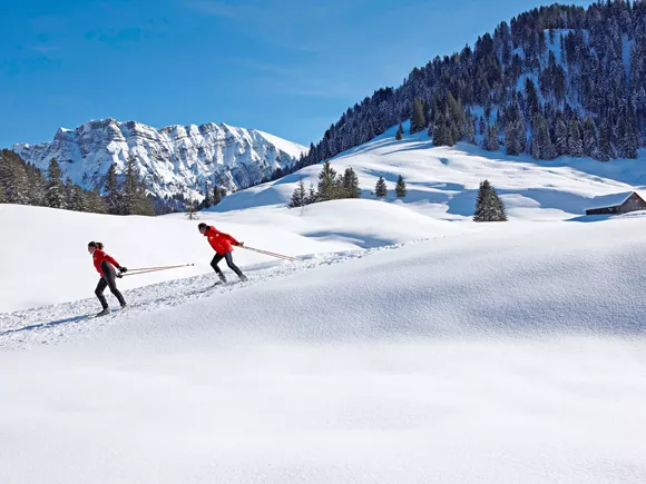 bregenzerwald-kleine-skigebieden_17 Afbeelding - bregenzerwald-kleine-skigebieden_17