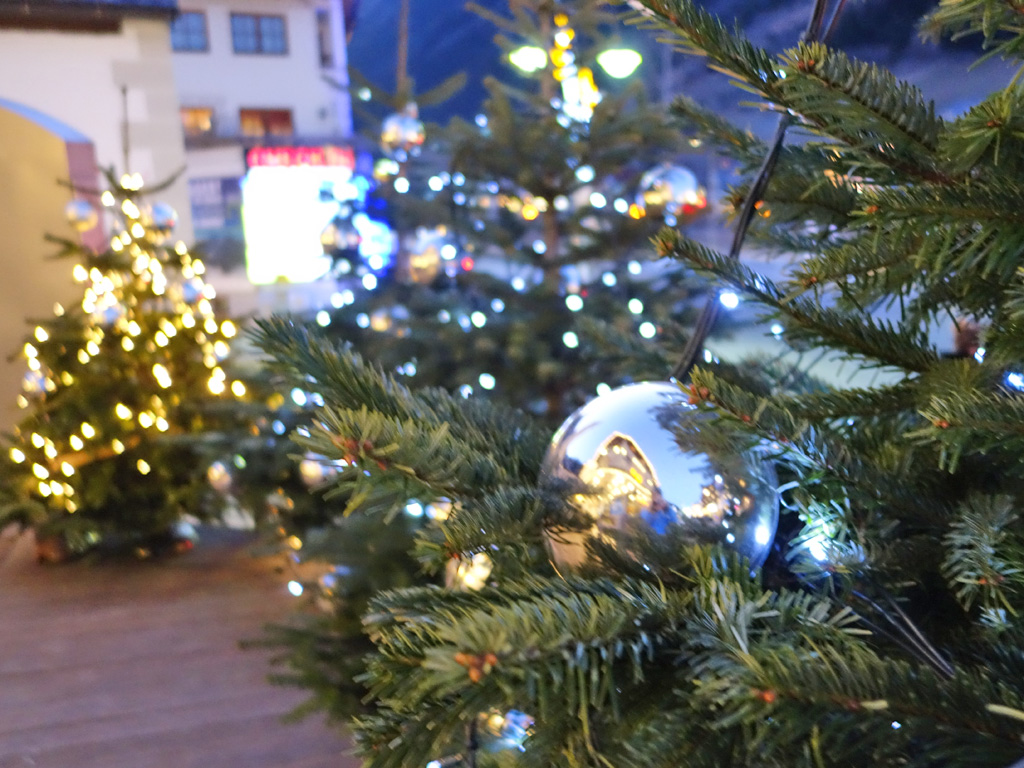 18284 - Hoe overleef je kerst als je niet op wintersport gaat? (2)