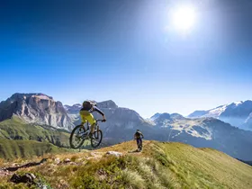 Fassa Bikepark Belvedere Fassa Bikepark Belvedere