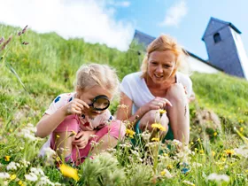 De leukste zomeruitjes met kinderen in de regio Hohe Salve De leukste zomeruitjes met kinderen in de regio Hohe Salve