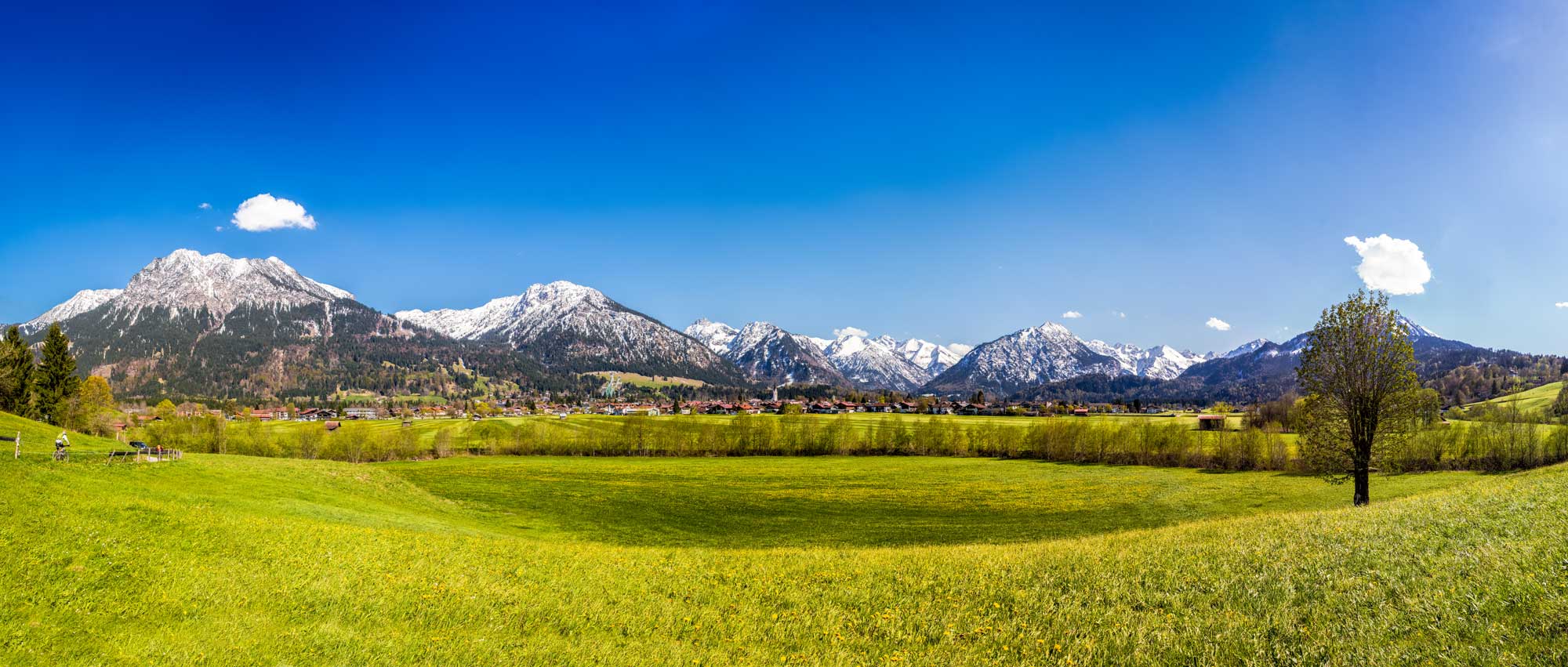 Oberstdorf Panoramabild Löwenzahnfeld@Allgäu Gmbh, Erika Spengler