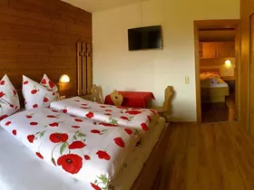 pension-heidelberg-4 Bild - pension-heidelberg-4