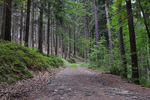 Echtpaar in huurauto komt vast te zitten op afgesloten weg naar de Dachstein Echtpaar in huurauto komt vast te zitten op afgesloten weg naar de Dachstein