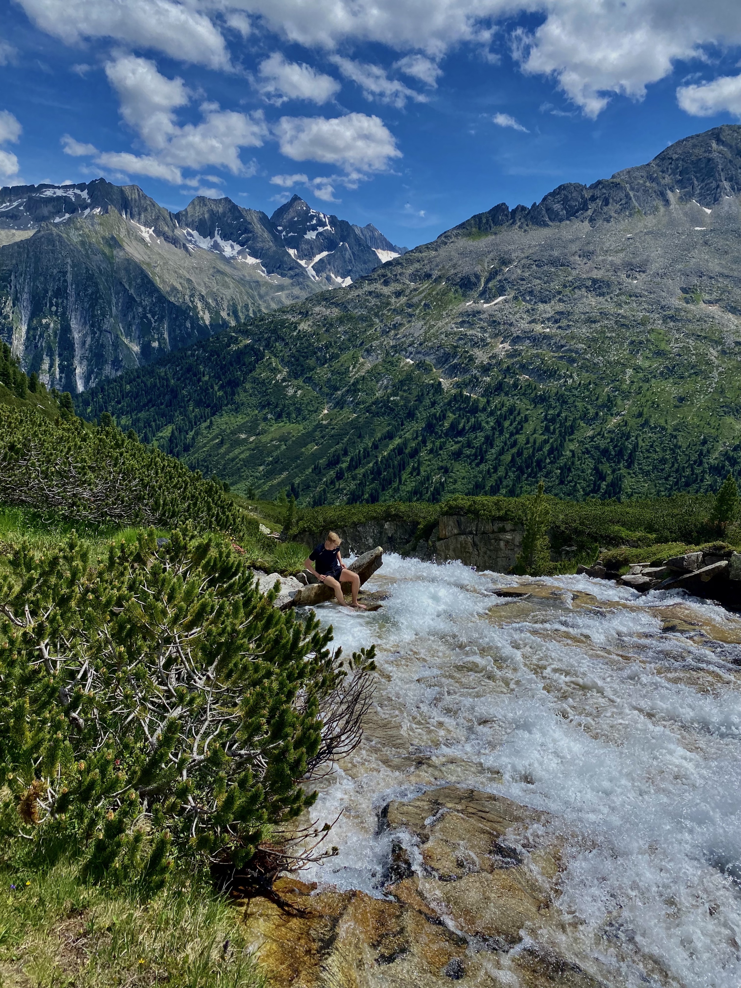 Jilles Zomer Jilles Zomer