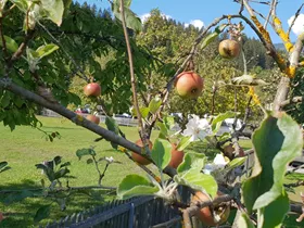 Camping Alpencamp Kötschach-Mauthen Camping Alpencamp Kötschach-Mauthen