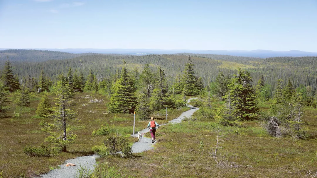 Wandelenfinslapland Wandelenfinslapland