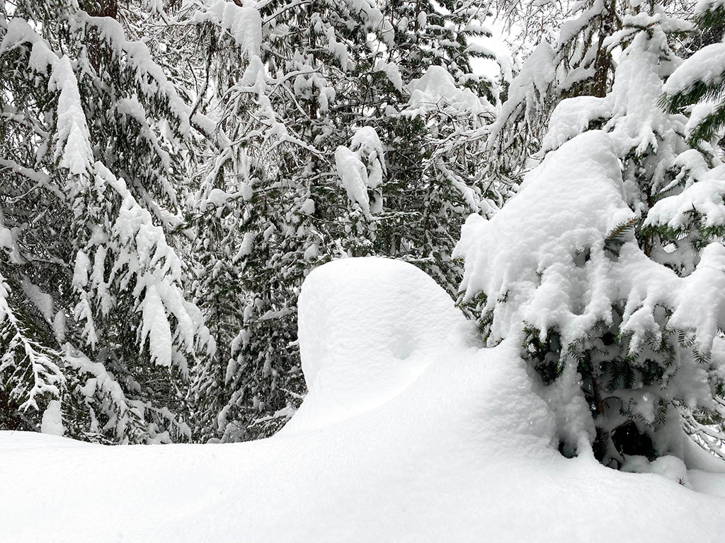 52953 - Alpenwetter: Schneealarm! Reichlich Neuschnee im Anmarsch