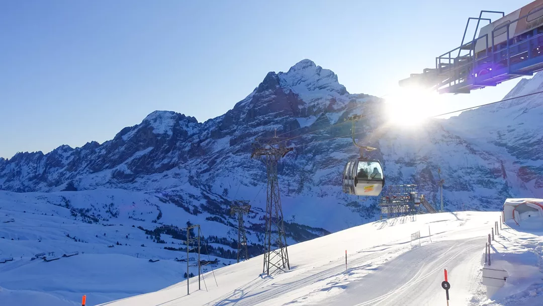 First Rindelwald Chalets Grindelwald-First (Zwitserland)
