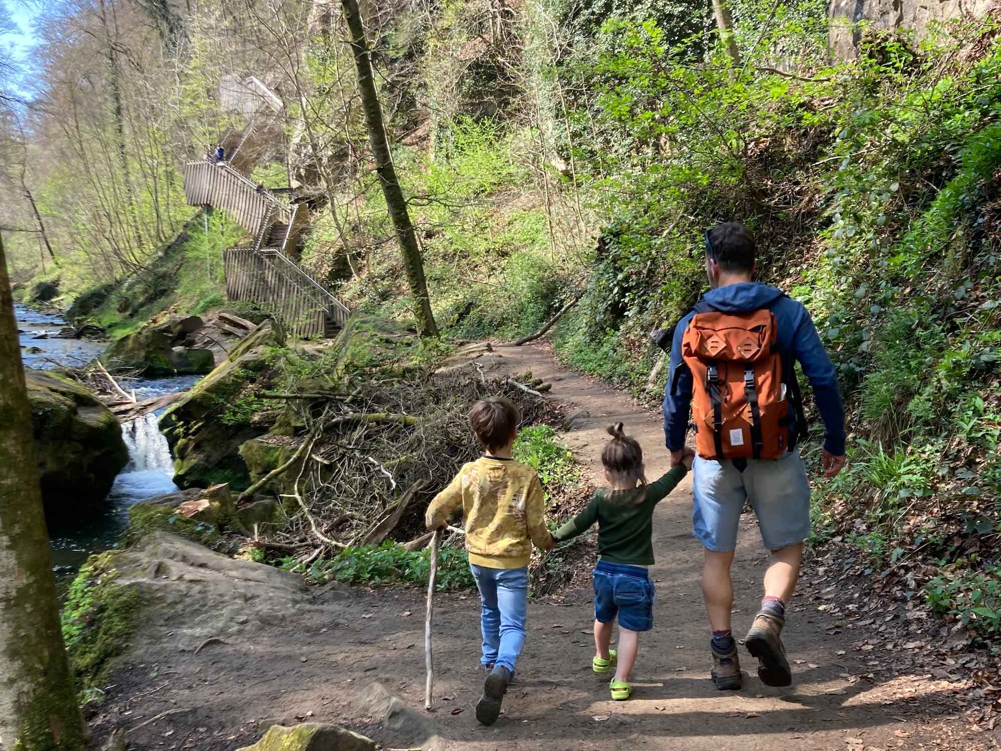 Wandelen Met Kinderen Bos