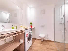 AlpinLodge Flachau AlpinLodge Flachau