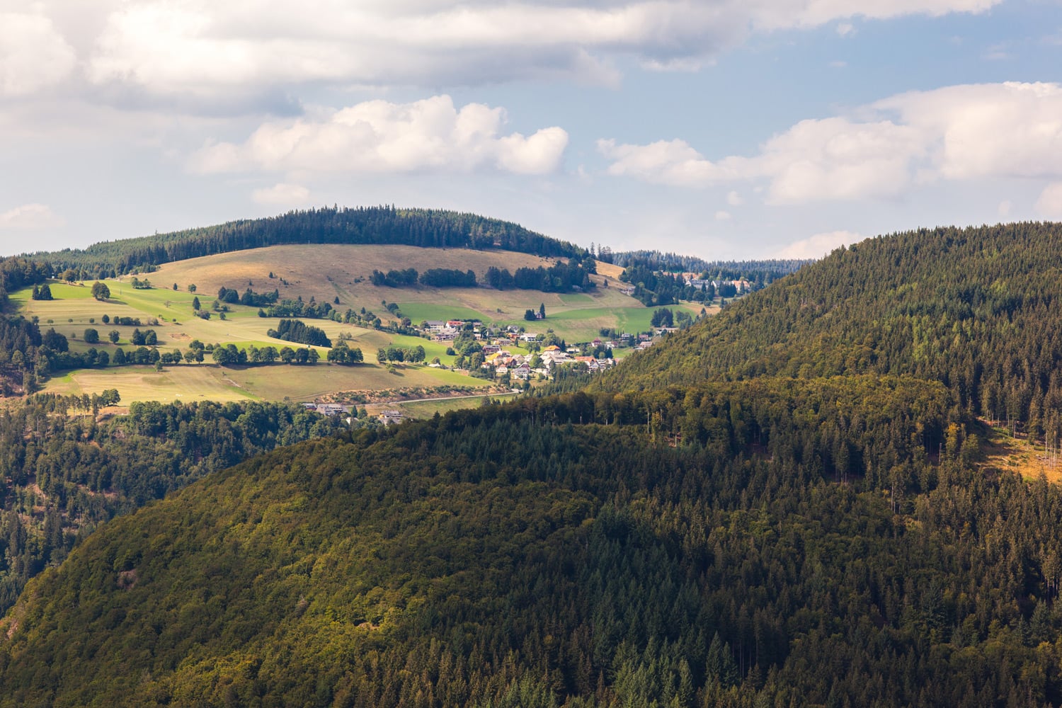 Urlaub Todtnauberg (Deutschland)