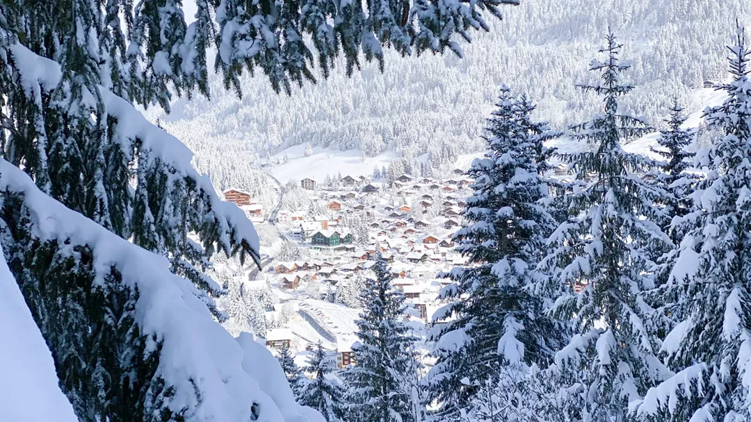 Verschneites Dorf und Bäume