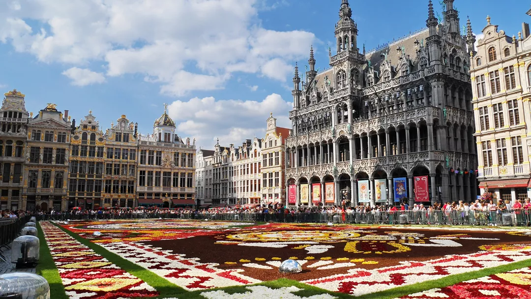 Grote Markt Bloemen Brussel