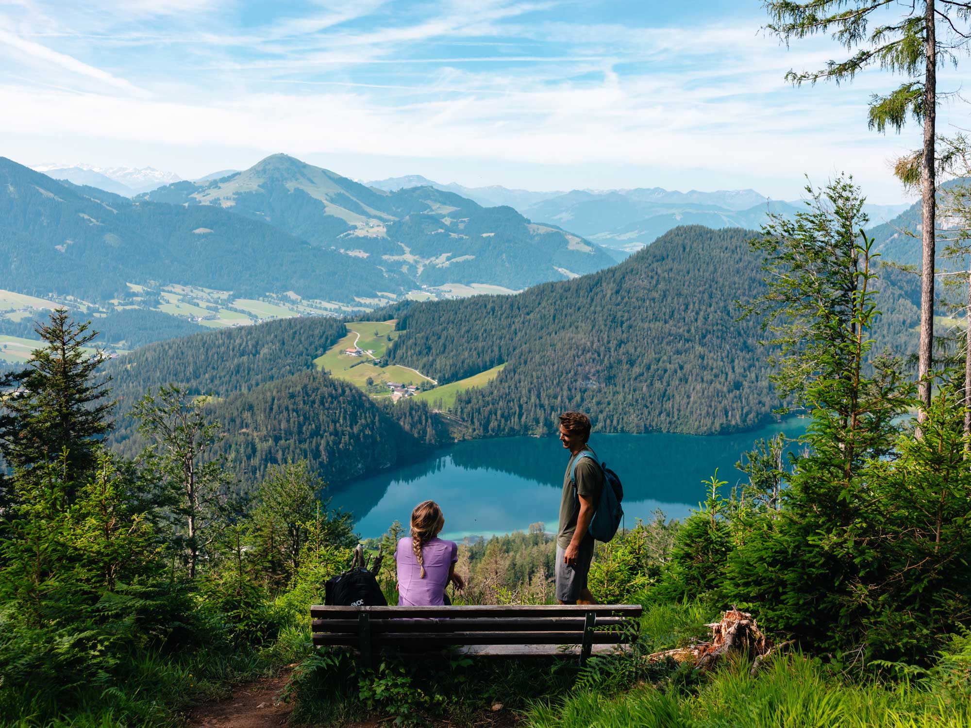 Wilderkaiser Kaiserblüte