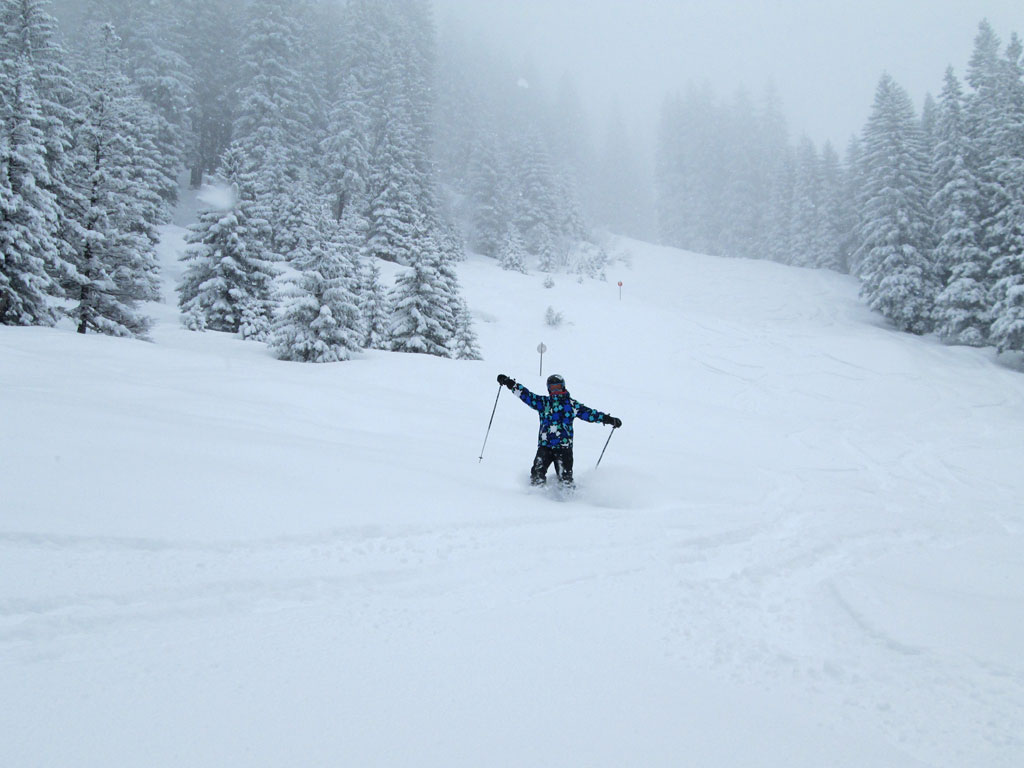 50180 - Alpenweer: 50 cm verse sneeuw! (2)