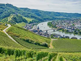 Rheinland-Pfalz: 10 mooie vakantieregio's Rheinland-Pfalz: 10 mooie vakantieregio's