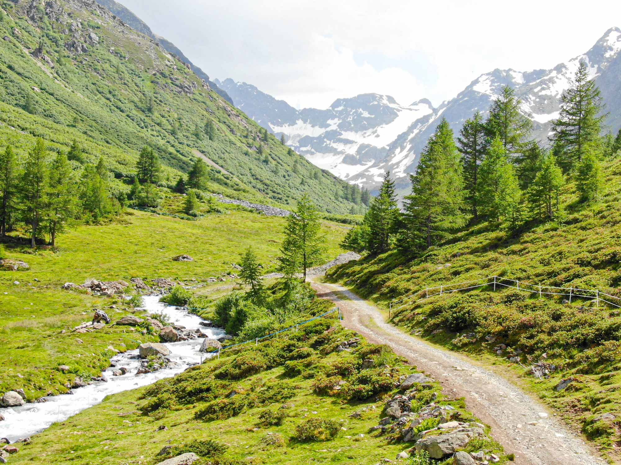 Landschaft im Paznauntal