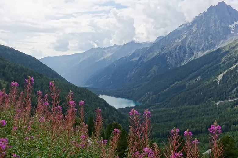 53311 - De mooiste wandelroutes in Tirol (2) 53311 - De mooiste wandelroutes in Tirol (2)