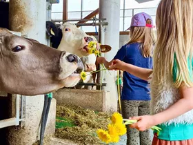 7 dingen die een vakantie met kinderen op een boerderij in Tirol zo fijn maken 7 dingen die een vakantie met kinderen op een boerderij in Tirol zo fijn maken