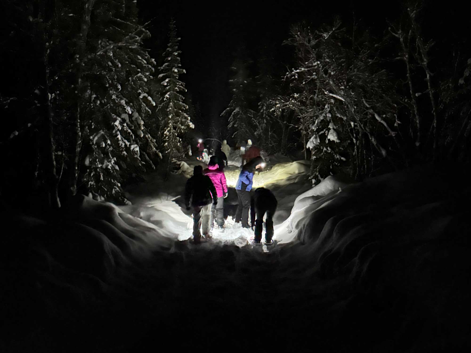 Sneeuwschoenwandelen Avond