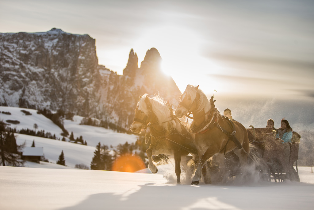 17132 - Wintersport in Zuid-Tirol: Seiser Alm / Alpe di Siusi (2)