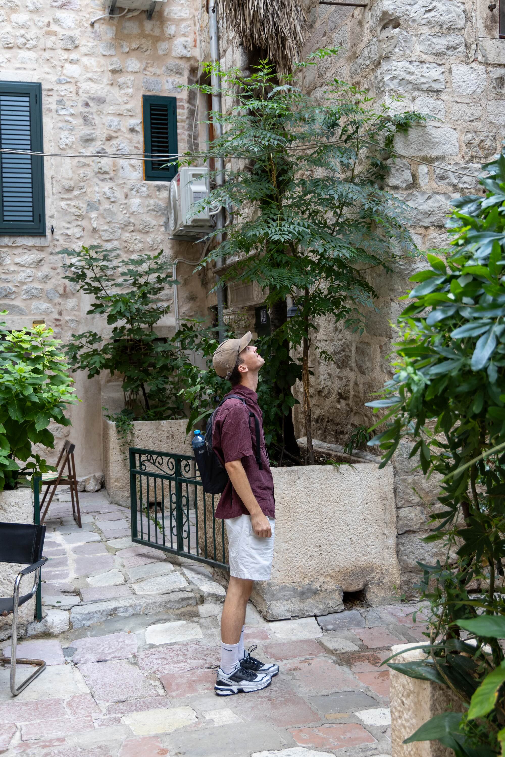 Kotor Montenegro 1