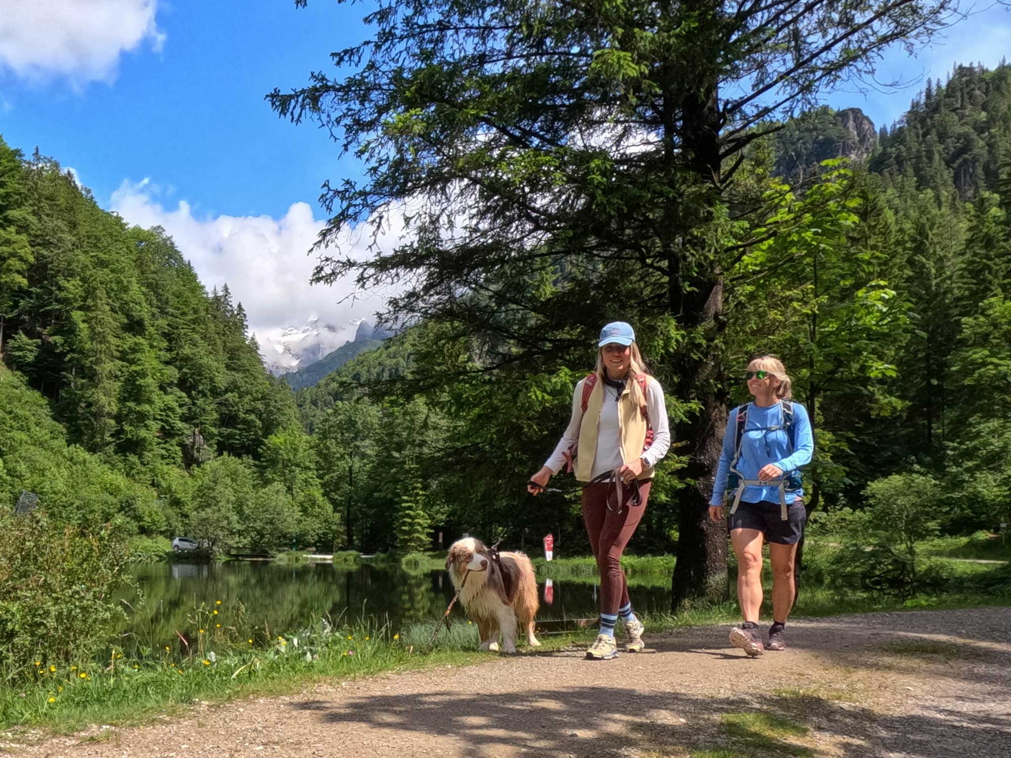 Hond Wandelen Bergen