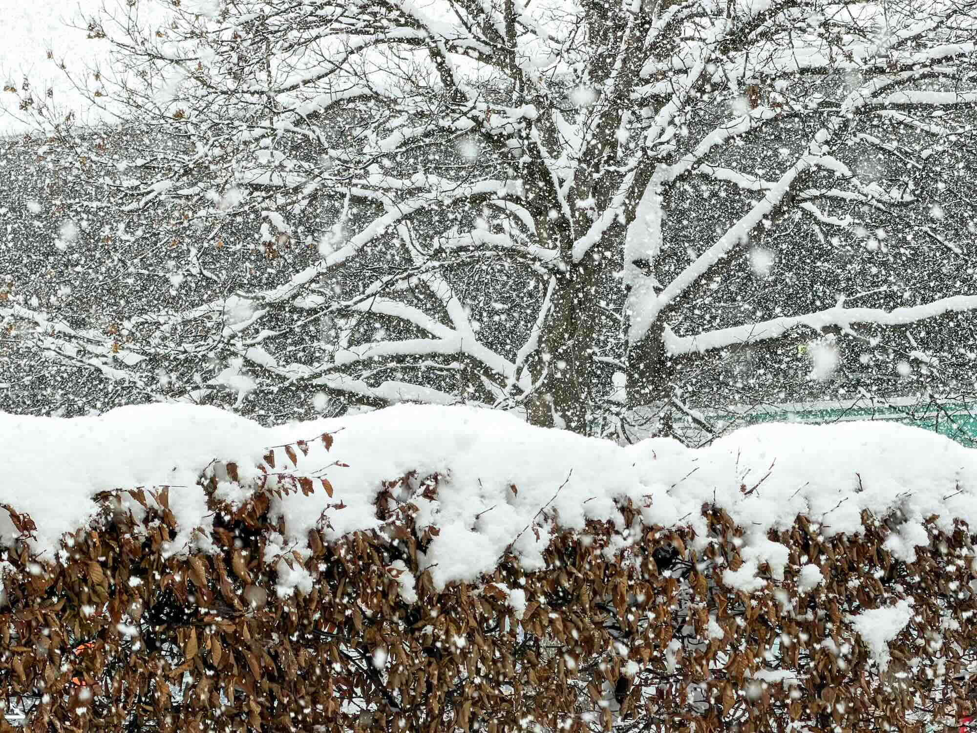 Sneeuw Verse Sneeuw Sneeuwvlokken