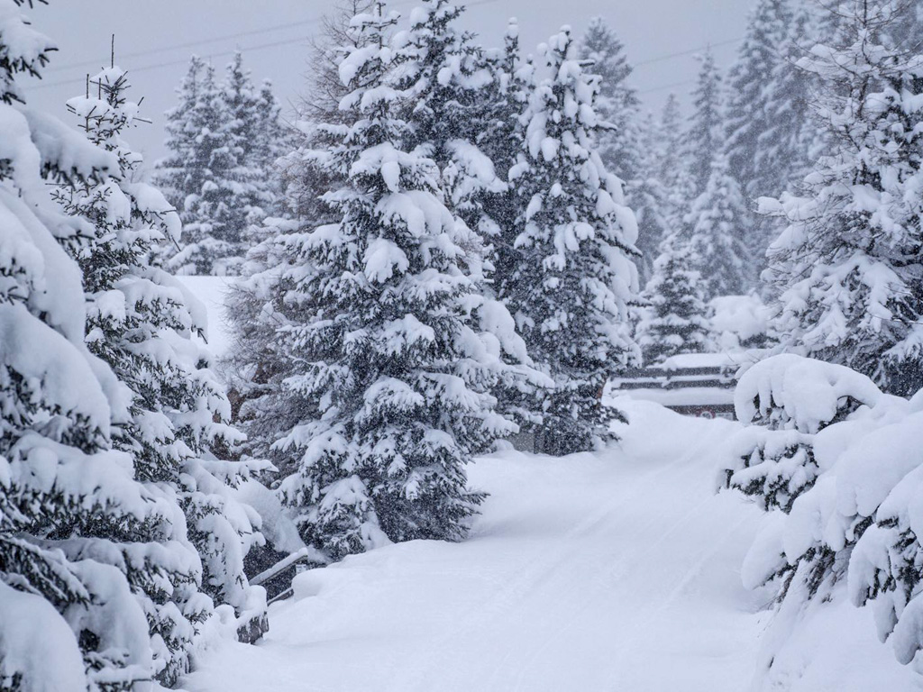 51732 - Alpenweer: mega veel sneeuw op komst (150 cm)! (3)