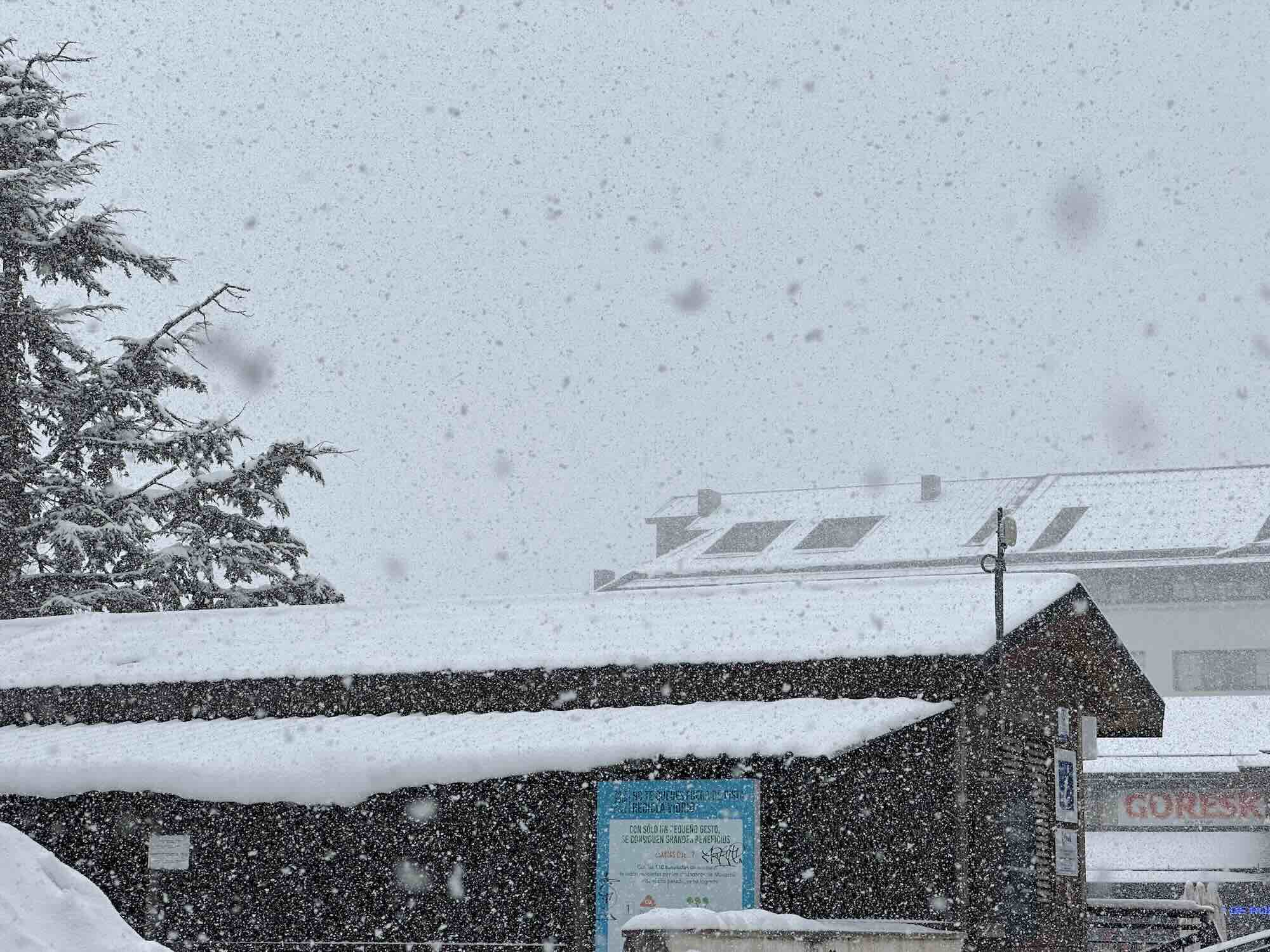Sneeuwvlokken Einde Lente Winter Keert Terug