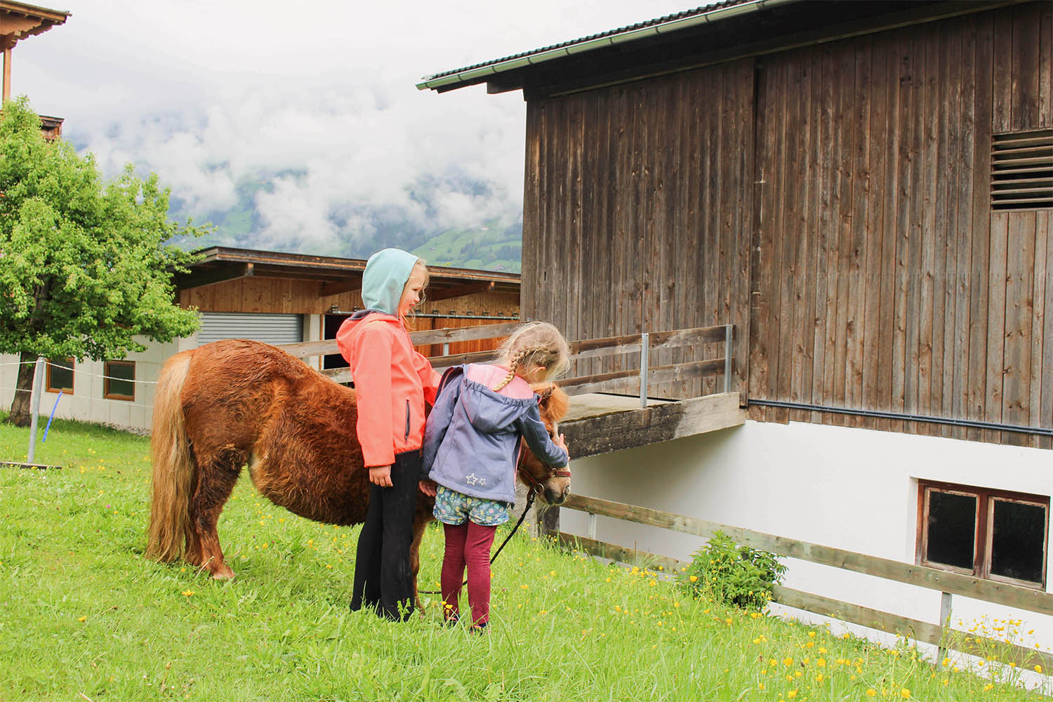 Ontdek Klassiek expeditie Vakantie met kinderen op de boerderij in Tirol
