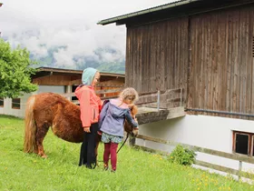 Dit maakt een vakantie met kinderen op een boerderij in Tirol zo leuk Dit maakt een vakantie met kinderen op een boerderij in Tirol zo leuk