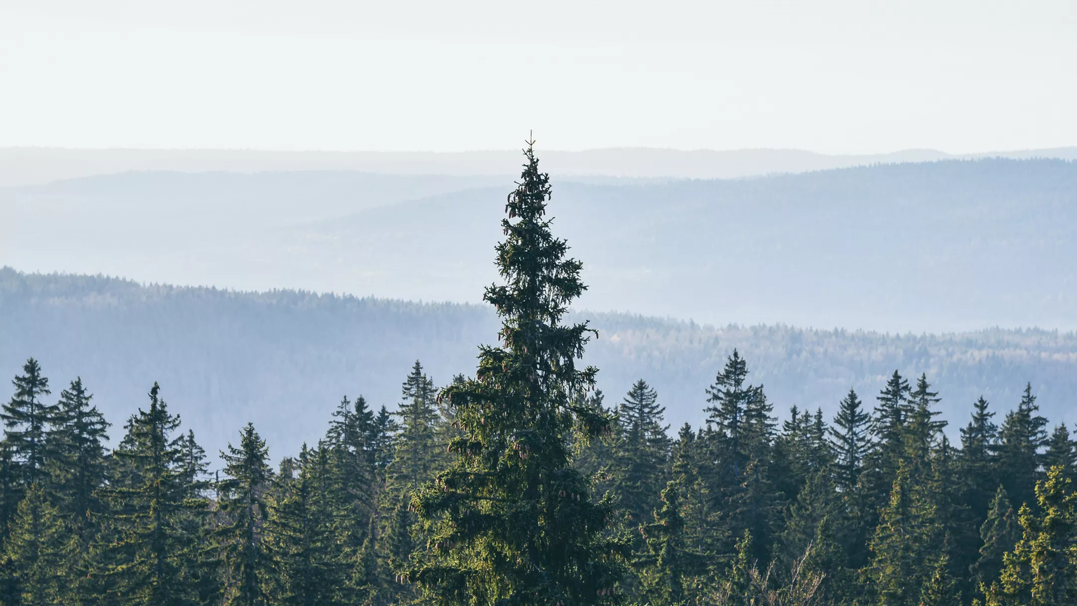 Sehenswürdigkeiten in Jura