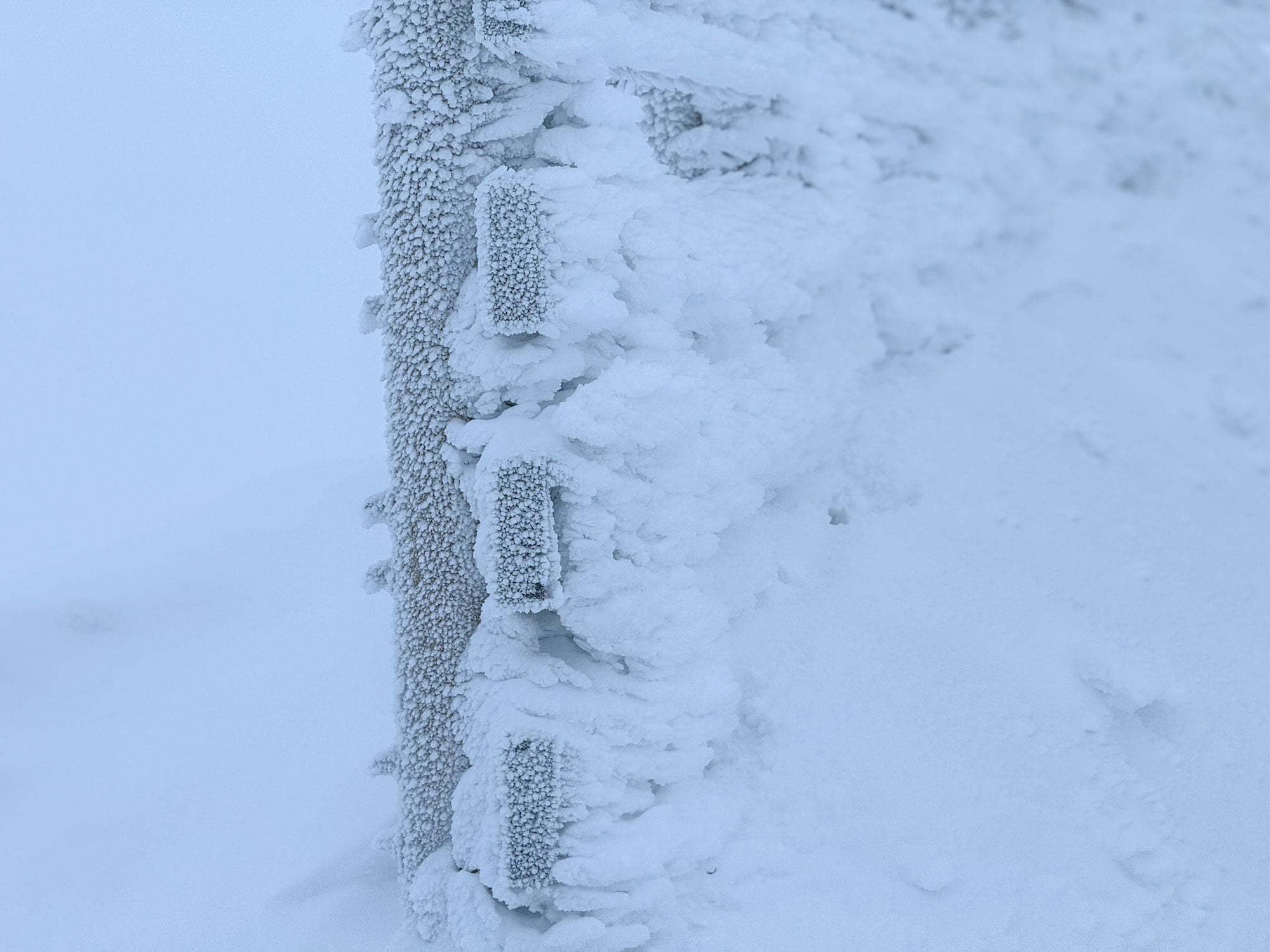 Sneeuw Hek