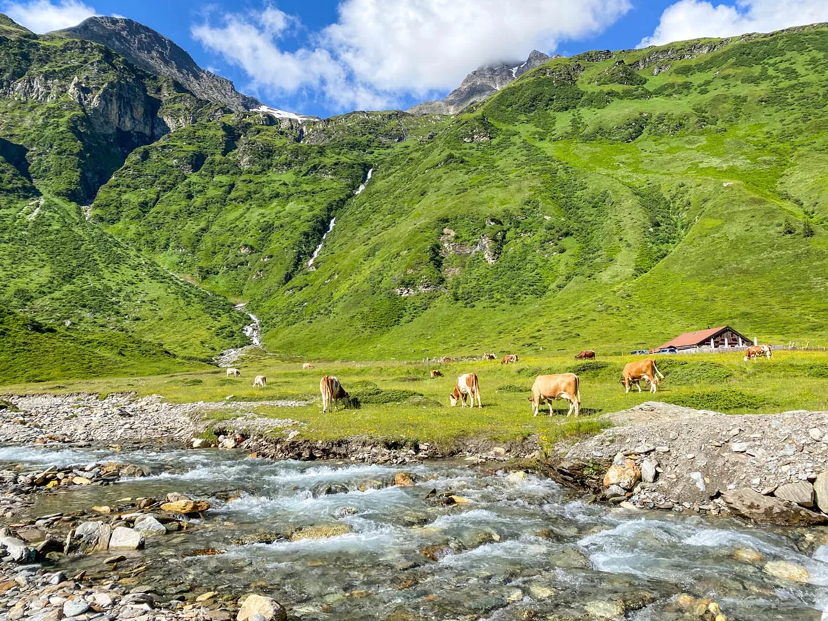 Nationaal Park Hohe Tauern nationaal-park-hohe-tauern