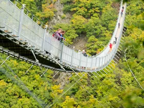 Geierlay hangbrug Geierlay hangbrug