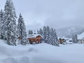 Neige fraîche à 1000 m prévue pour cette semaine Neige fraîche à 1000 m prévue pour cette semaine