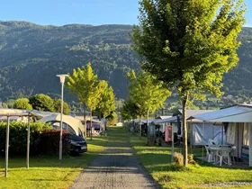 Ideal Camping Lampele Ideal Camping Lampele