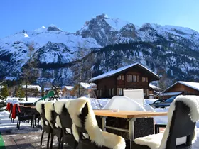 Hotel Blümlisalp Hotel Blümlisalp