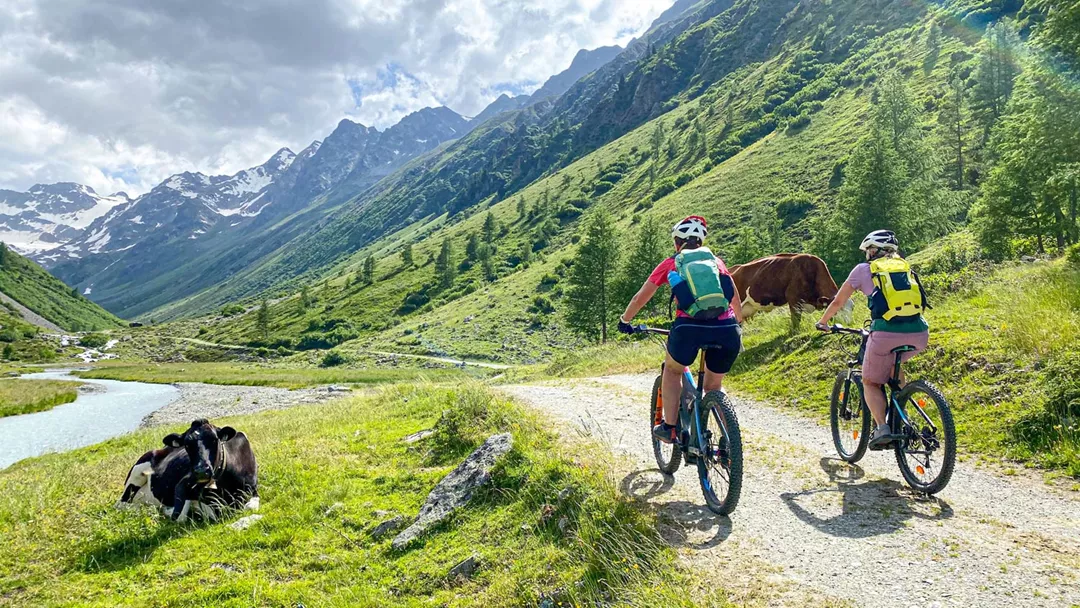 Mountainbikepaznaun