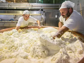 Erlebnis Sennerei Zillertal Erlebnis Sennerei Zillertal