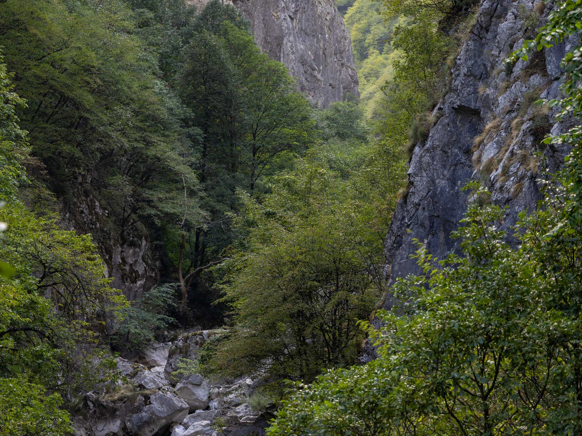 Kloof