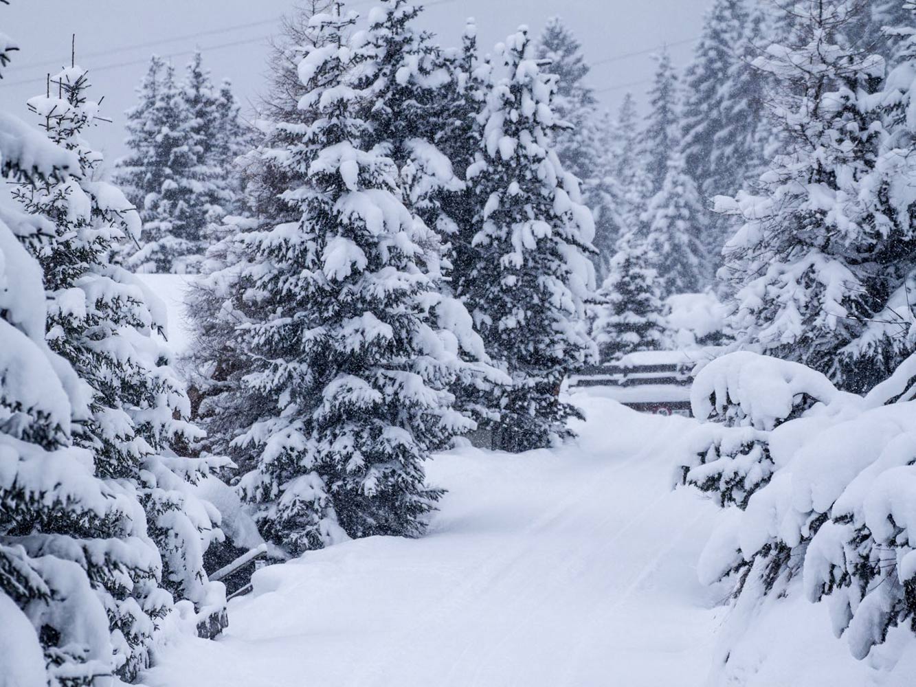 53878 - Alpenweer: ruim een meter sneeuw onderweg naar de Alpen (3)