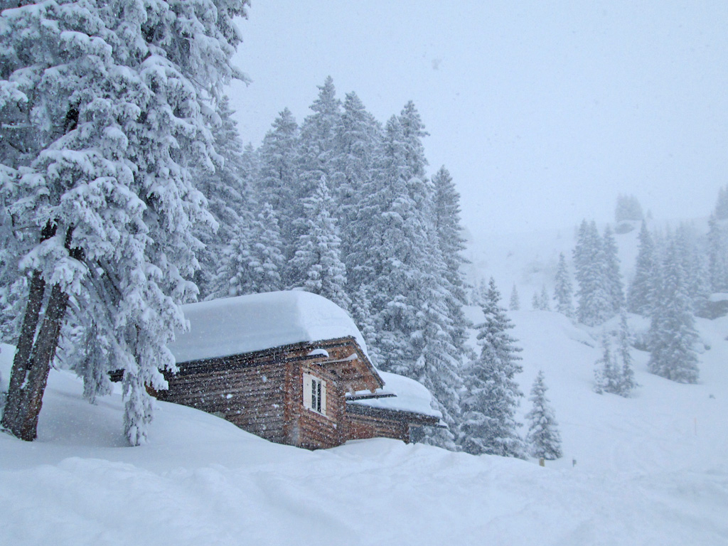 51530 - Alpenweer: aanhoudende sneeuwval in Oostenrijk (3)