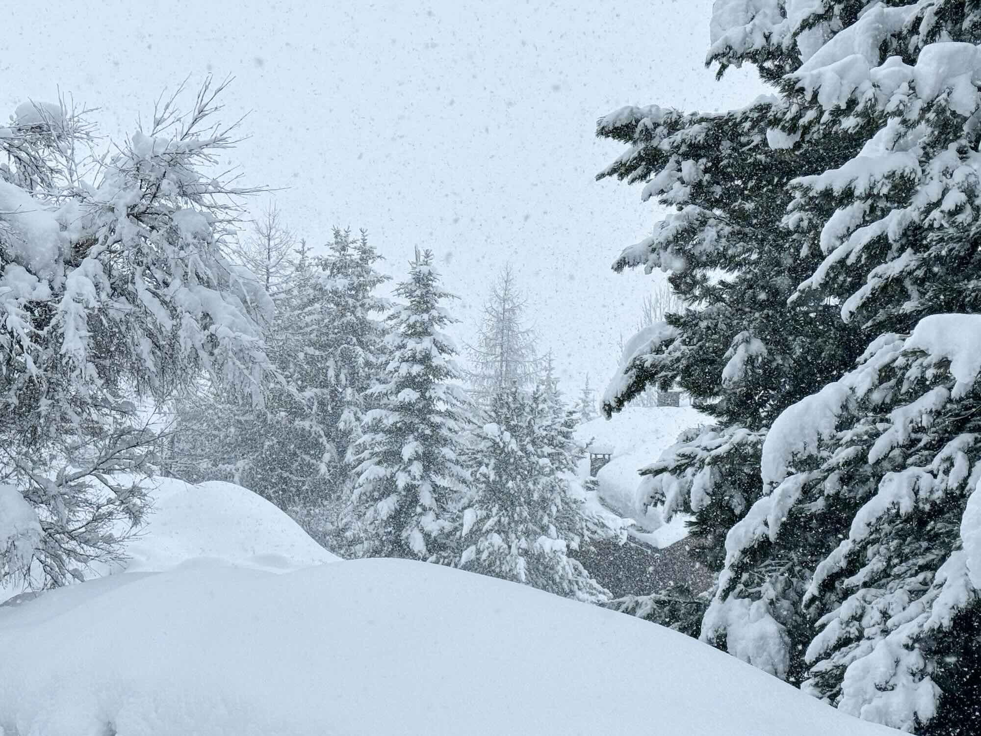 Dikke Sneeuwvlokken Veel Sneeuw
