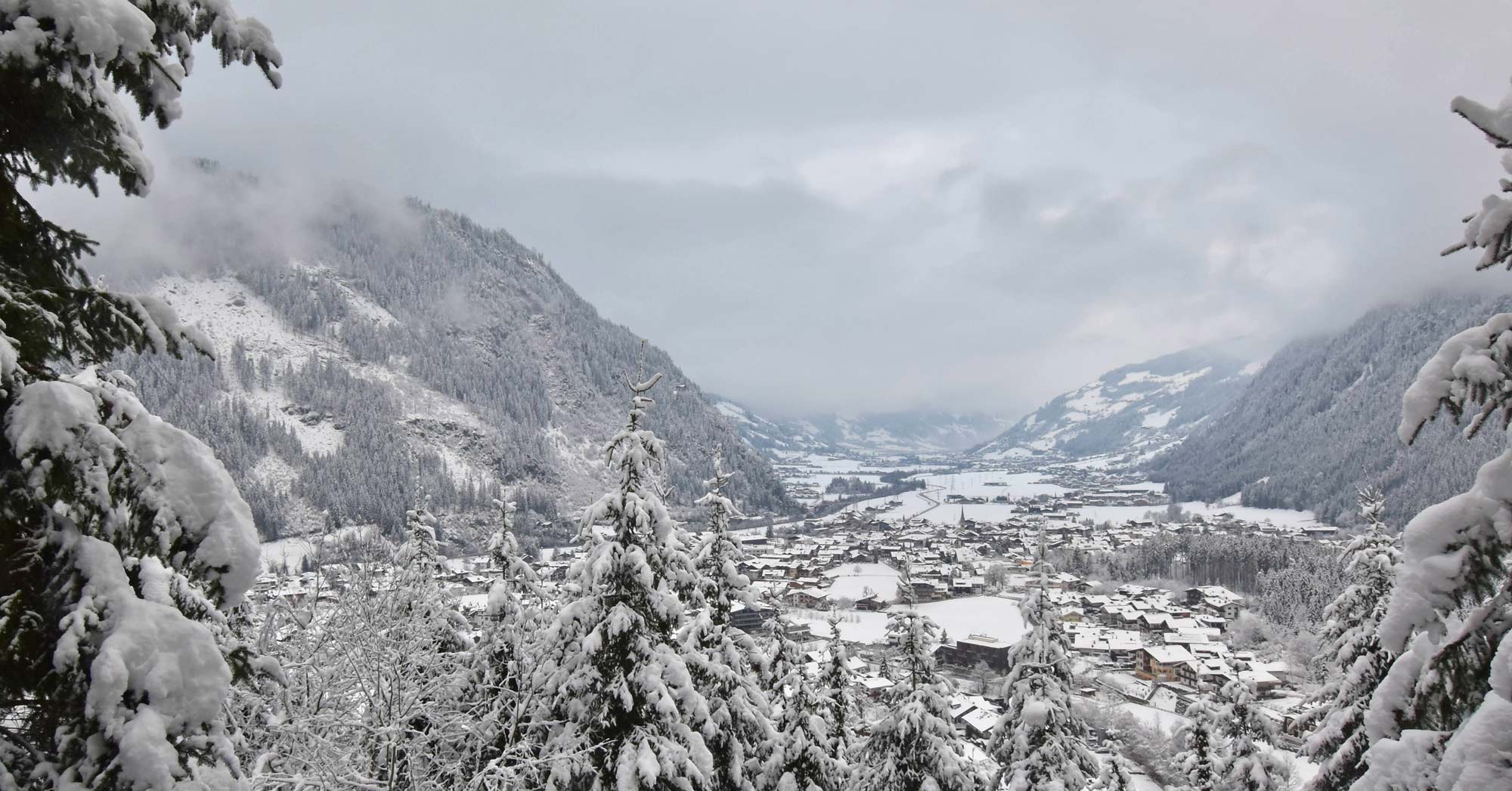 Skitest Dit Zijn De Beste Ski S Van 2023 2024   Mayrhofen Tvb Ortsblick Wiesenhof 2024 01 08 08 20 03 