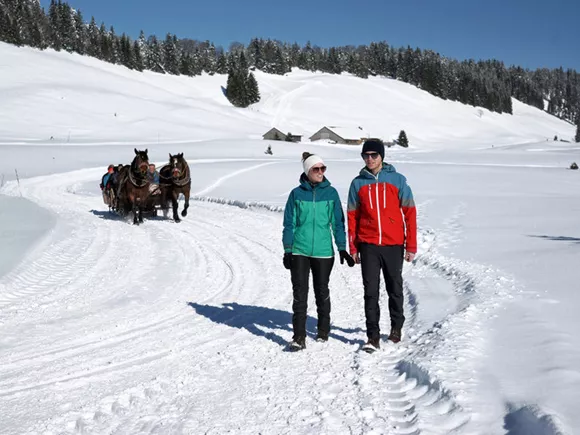 bregenzerwald-kleine-skigebieden_6 Afbeelding - bregenzerwald-kleine-skigebieden_6