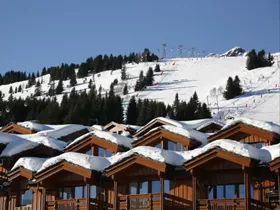 Premium Les Chalets du Forum Premium Les Chalets du Forum